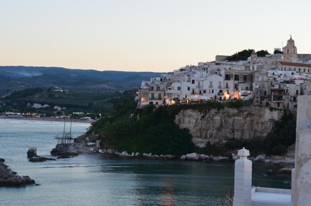 Centro Di Soggiorno Il Belvedere 维耶斯泰 外观 照片